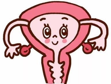 女性阴道干涩的原因及改善的方法